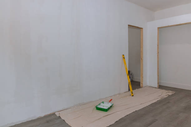 Mold Odor Removal Services in Delphi, IN