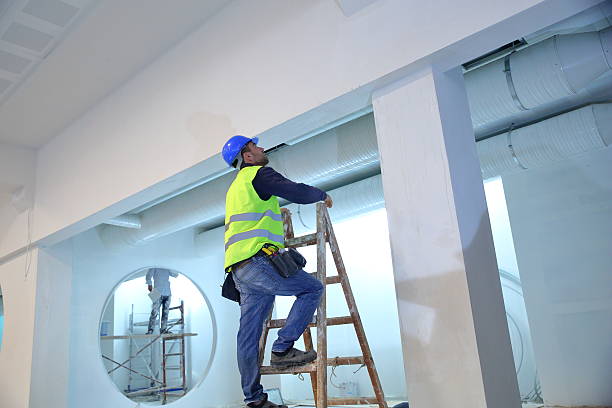 Best Mold Odor Removal Services  in Delphi, IN
